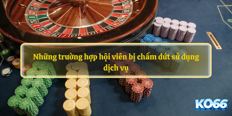 Những trường hợp hội viên bị chấm dứt sử dụng dịch vụ